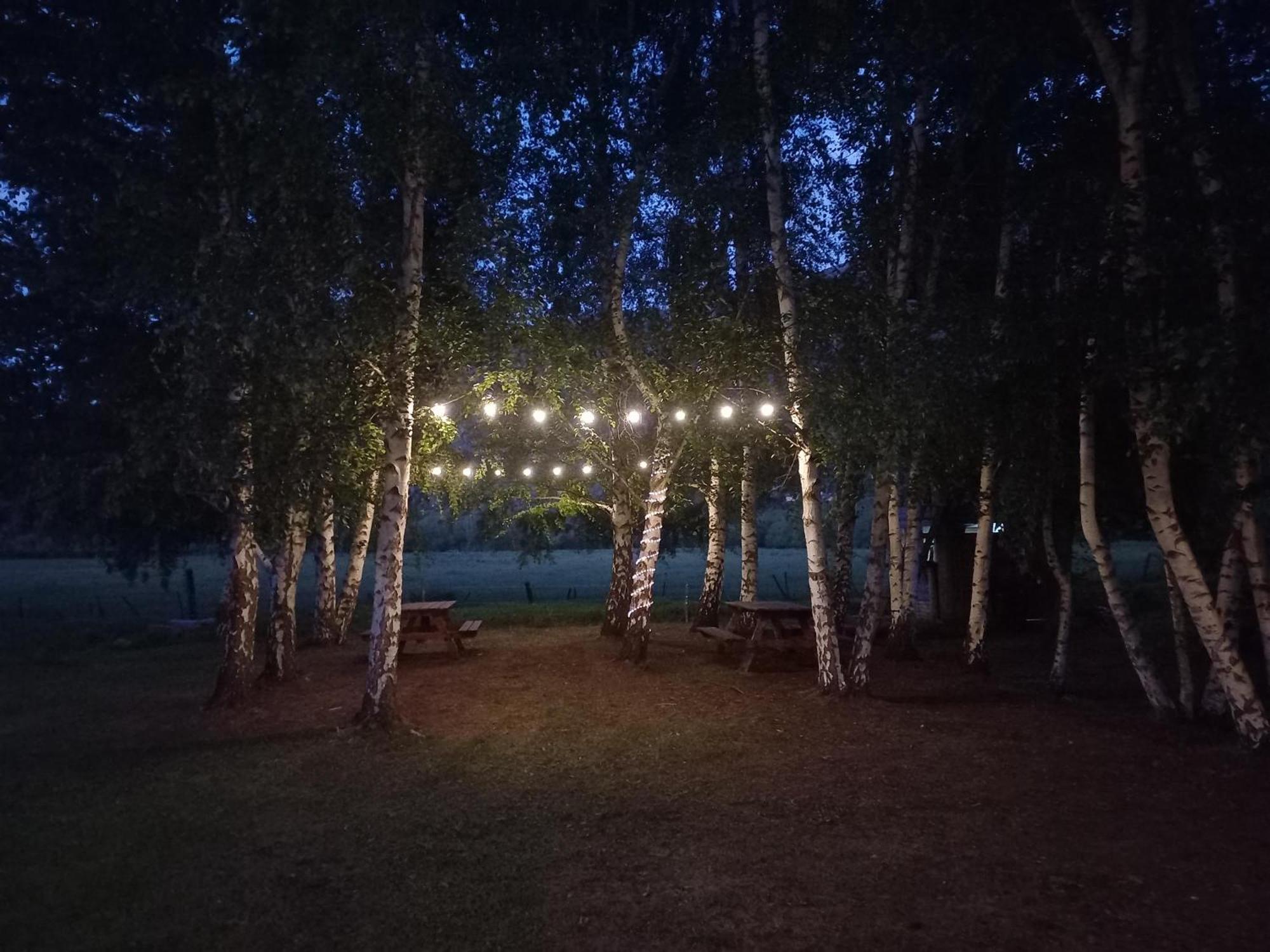 Hostel Lc Hoyo de Epuyén Eksteriør bilde